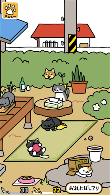 猫咪后院2最新版