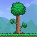 terraria1.4.4.9皮皮蛙汉化