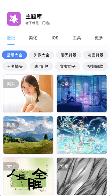 主题库pro免费版