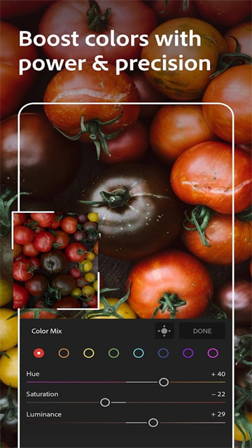 Lightroom中文免费版