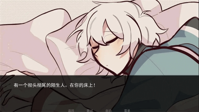病娇抱枕(Comfort Pillow)