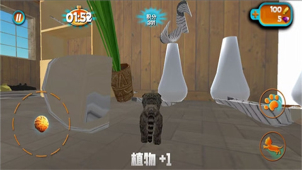 奶奶贴心小猫