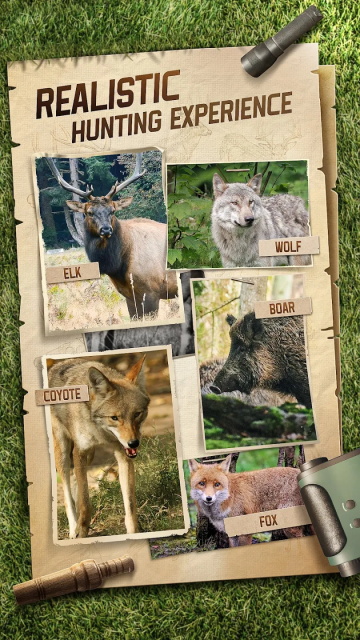 狩猎狙击手中文破解版