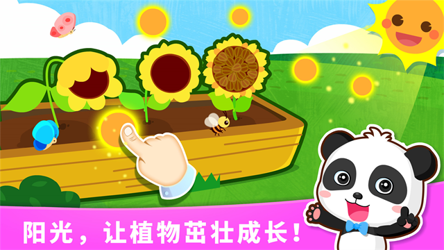 宝宝天气认知旧版本