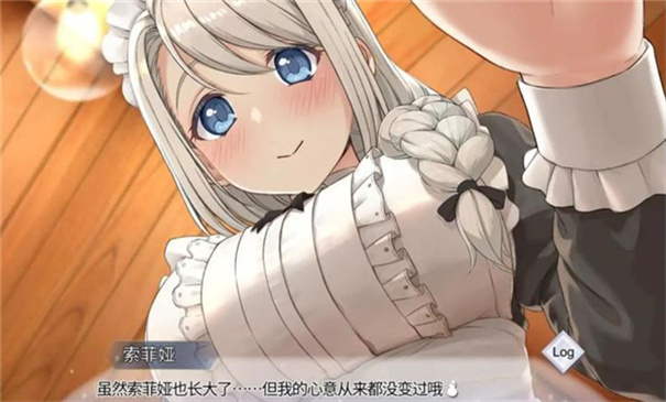 我与索菲娅的秘密