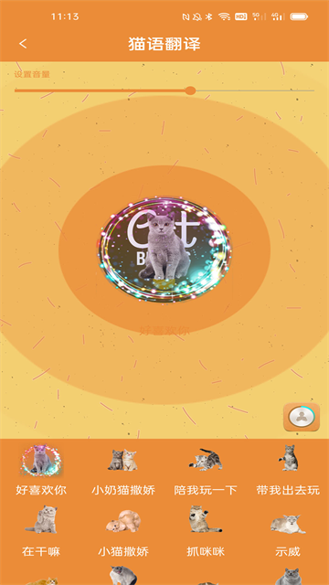 宠物猫狗翻译器