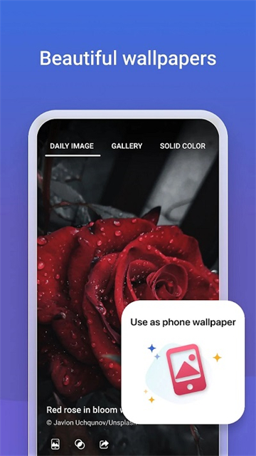 微软必应app2026最新版