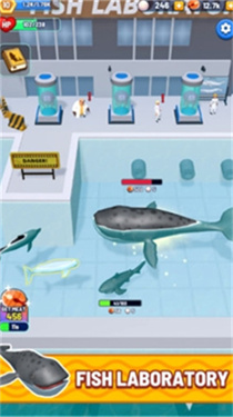 鲨鱼进化海洋之战