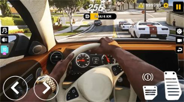 硝基车驾驶大师