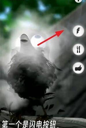 会说话的拉里鸟中文版