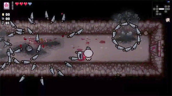 以撒的结合胎衣