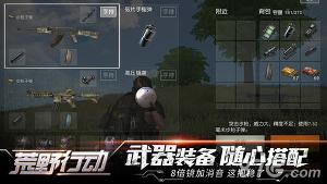 荒野行动国际服