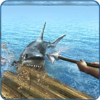 木筏生存岛逃生中文版