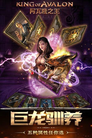 阿瓦隆之王国际服