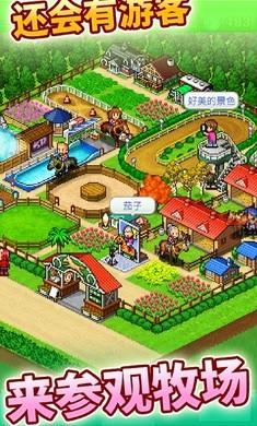 赛马牧场物语破解版