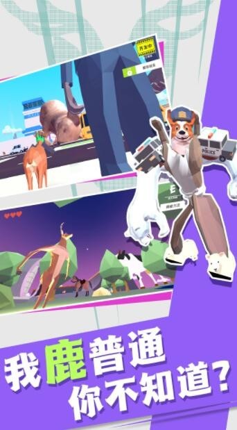 非常普通的动物们手机版