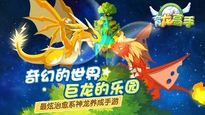 育龙高手手游