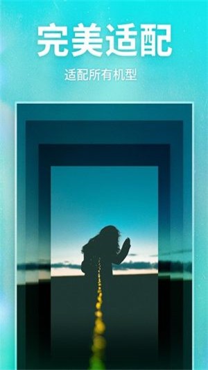 灵猫主题壁纸高清版