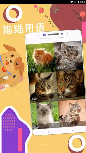 人狗猫猪翻译器v1.0